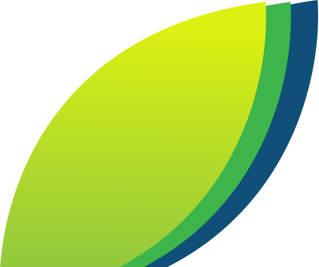 Leaves 1